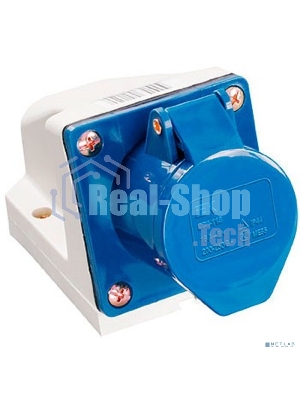 Розетка ОП 16А 220В 2P+PЕ ССИ-113 IP44 IEK PSR11-016-3