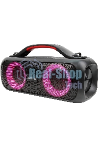 Колонка портатитвная Digma D-PS1531 черный/черный 40W 2.0 BT 10м 3000mAh (SP1531B)