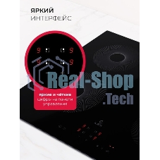 Индукционная варочная поверхность Lex EVI 640 R1 I BL черный
