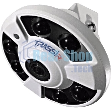 Камера видеонаблюдения IP Trassir TR-D9151IR2 1.4-1.4мм корп.:белый