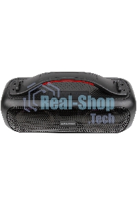 Колонка портатитвная Digma D-PS1531 черный/черный 40W 2.0 BT 10м 3000mAh (SP1531B)