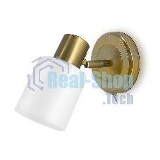 Светильник Ambrella light TR3967 BS/FR латунь/белый матовый E27 max 40W 140*80*194