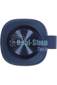 Портативная колонка Xiaomi Sound Outdoor 30W синий