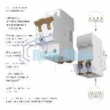 Автоматический выключатель Werkel 2P 10 A C 6 кА W902P106