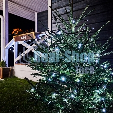 Гирлянда Neon-night 