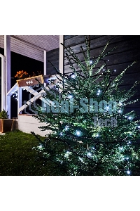 Гирлянда Neon-night 