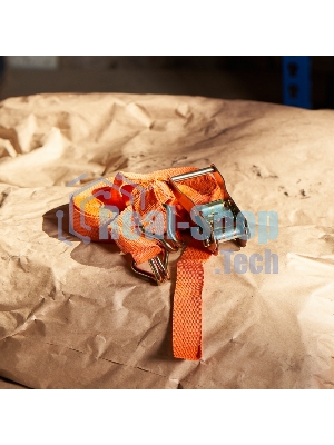 Стяжка для груза Rexant багажная с крюками, с храповым механизмом, 10х0.038 м