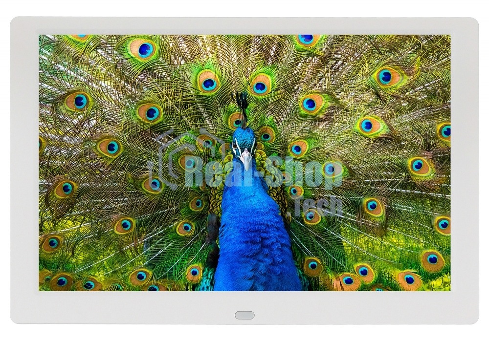 Фоторамка Digma 10.1