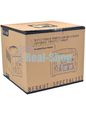 Пуско-зарядное устройство Berkut PSL-600