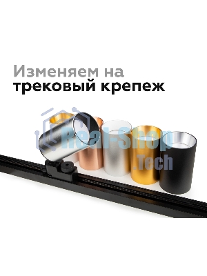 Насадка для корпуса светильника N6113 PYG золото желтое полированное D60*H30mm Out0mm MR16