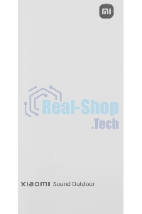 Портативная колонка Xiaomi Sound Outdoor 30W синий