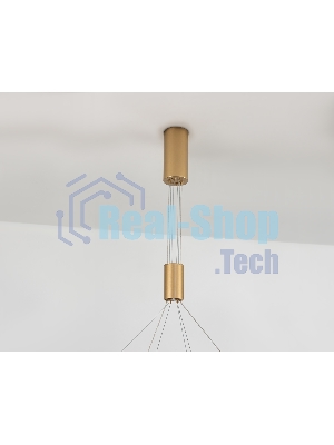 Подвесной светодиодный светильник Ambrella light FL5885/2 GD золото 45W 3000K/4200K/6400K D600/400*1200 (без ПДУ)