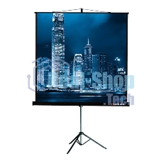 Экран на треноге Lumien 203x203см Master View LMV-100109 1:1 напольный рулонный