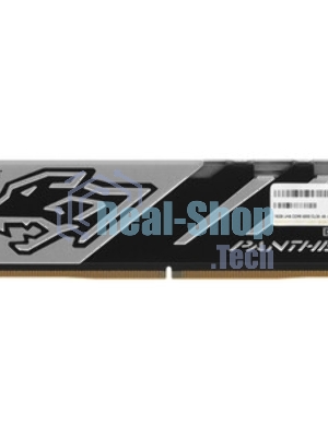 Оперативная память Apacer Panther, DDR5, 16GB (1x16GB), 6000 MHz, CL40, с радиатором, черно-серый
