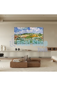 Телевизор Skyworth 65