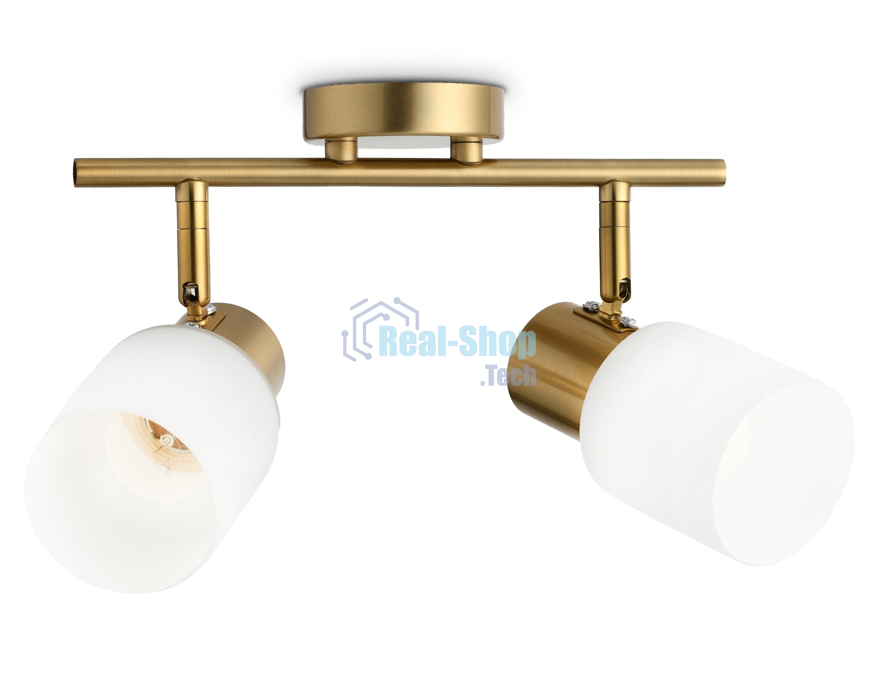 Светильник Ambrella light TR3969/2 BS/FR латунь/белый матовый E27*2 max 40W 260*80*210