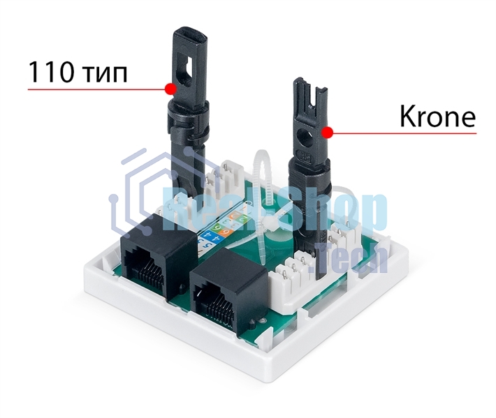 Розетка в сборе Cabeus, 2x RJ45(8P8C), кат. 6, неэкр., внешняя, белый, (WS-8P8C-Cat.6-2)