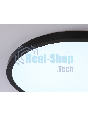 Светильник светодиодный ультратонкий Ambrella light FZ1961 BK черный IP54 40W 5000K D470*15 (Без ПДУ)