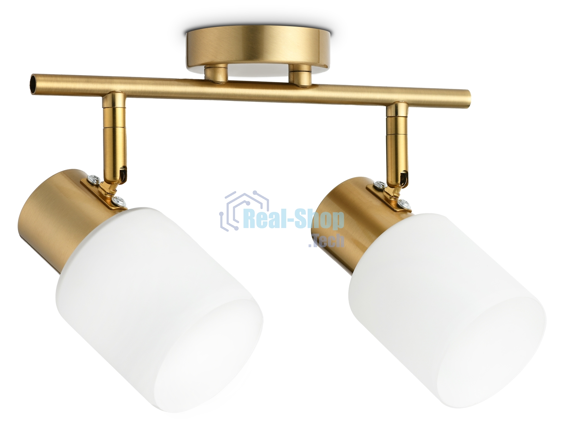 Светильник Ambrella light TR3969/2 BS/FR латунь/белый матовый E27*2 max 40W 260*80*210
