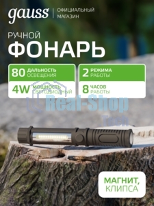 Фонарь ручной модель Gauss GFL109 4W 200lm 3xAAA LED 1/12/72