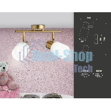 Светильник Ambrella light TR3969/2 BS/FR латунь/белый матовый E27*2 max 40W 260*80*210