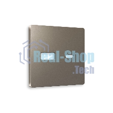 Лицевая панель ALFA (Темная бронза матовый) для розетки 2USB тип A+C QUANT AP6410