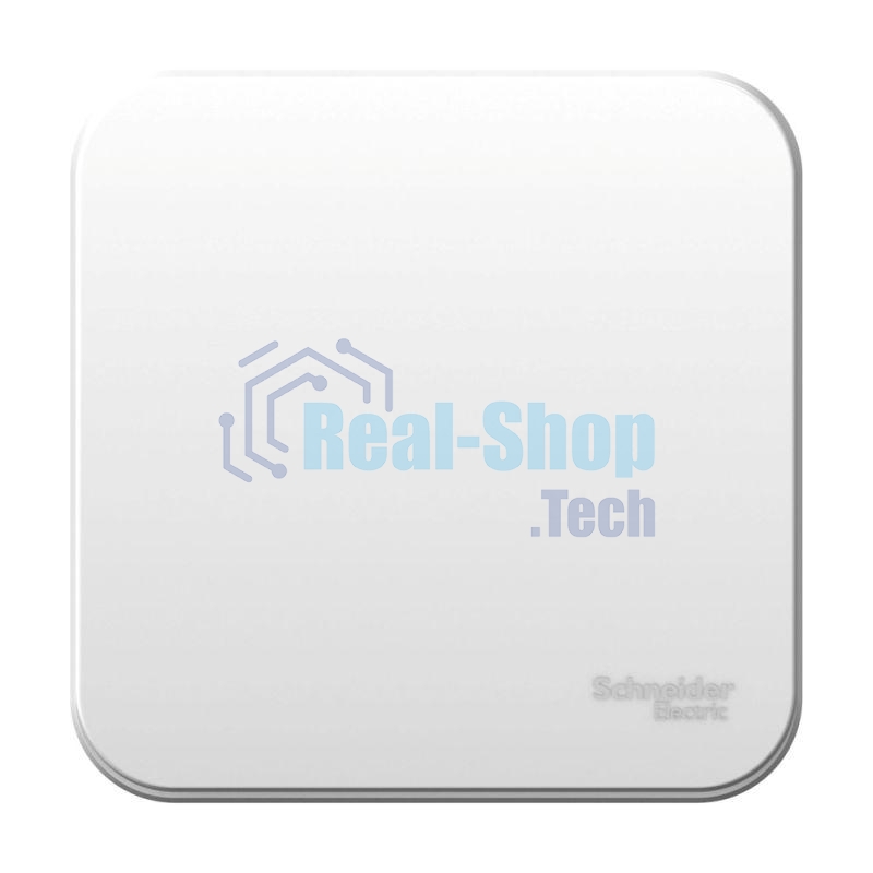 Выключатель 1-кл. ОП Blanca (сх.1) 6А 250 В белый SchE BLNVA061001