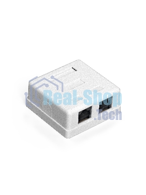 Розетка компьютерная двойная ExeGate SM2-RJ45-C6 RJ-45 кат.6 UTP Krone/110