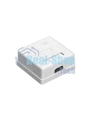 Розетка компьютерная двойная ExeGate SM2-RJ45-C6 RJ-45 кат.6 UTP Krone/110