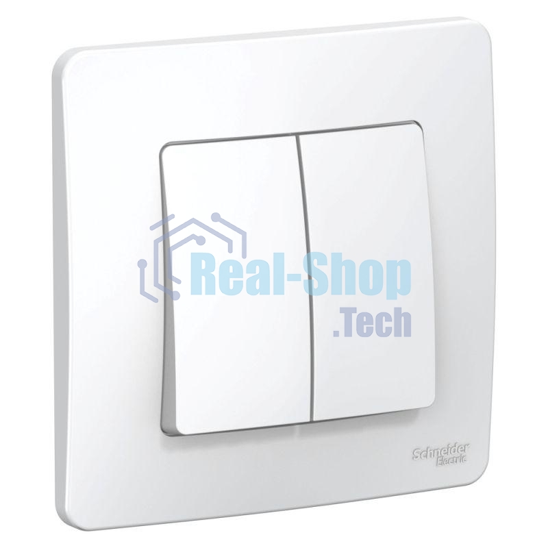 Переключатель 2-кл. СП BLANCA (сх.6+6) 10А 250В бел. SchE BLNVS106601