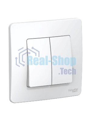 Переключатель 2-кл. СП BLANCA (сх.6+6) 10А 250В бел. SchE BLNVS106601