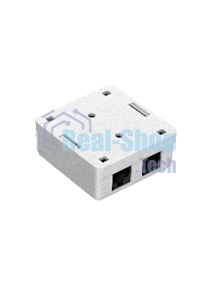 Розетка компьютерная двойная ExeGate SM2-RJ45-C6 RJ-45 кат.6 UTP Krone/110
