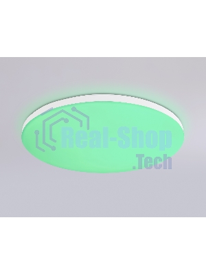 Умный светодиодный светильник FZ2001 WH белый IP54 20W 3000K-6500K+RGB Wi-Fi Алиса/Tuya/Smart Home/Alexa D300*55 (ПДУ ИК)