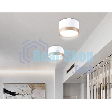 Светильник Ambrella light TN52355 WH/GD белый/золото GX53 max 12W D82*50