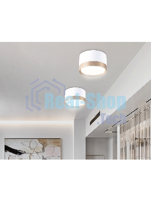 Светильник Ambrella light TN52355 WH/GD белый/золото GX53 max 12W D82*50