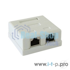 Монтажное оборудование Розетка GEMBIRD NAS214 RJ-45 кат.STP 5e внешняя экранированная 2 порта, 110&Krone
