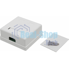 Розетка TWT (TWT-SM2-4545-WH) настенная 2 порта RJ-45 категории 5е. UTP. белая