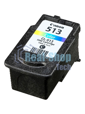 Картридж струйный Canon CL-513IJ CART EMB многоцветный (349 стр) для Canon PIXMA MP230/iP2700/iP2702/MP240/MP250/MP252/MP260/MP270/MP272/MP280
